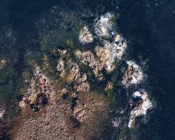 Antoine CZERWINSKI - ANTOINE CZERWINSKI